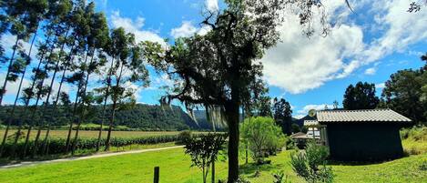 Luxe huisje, uitzicht op meer | Terrein van de accommodatie