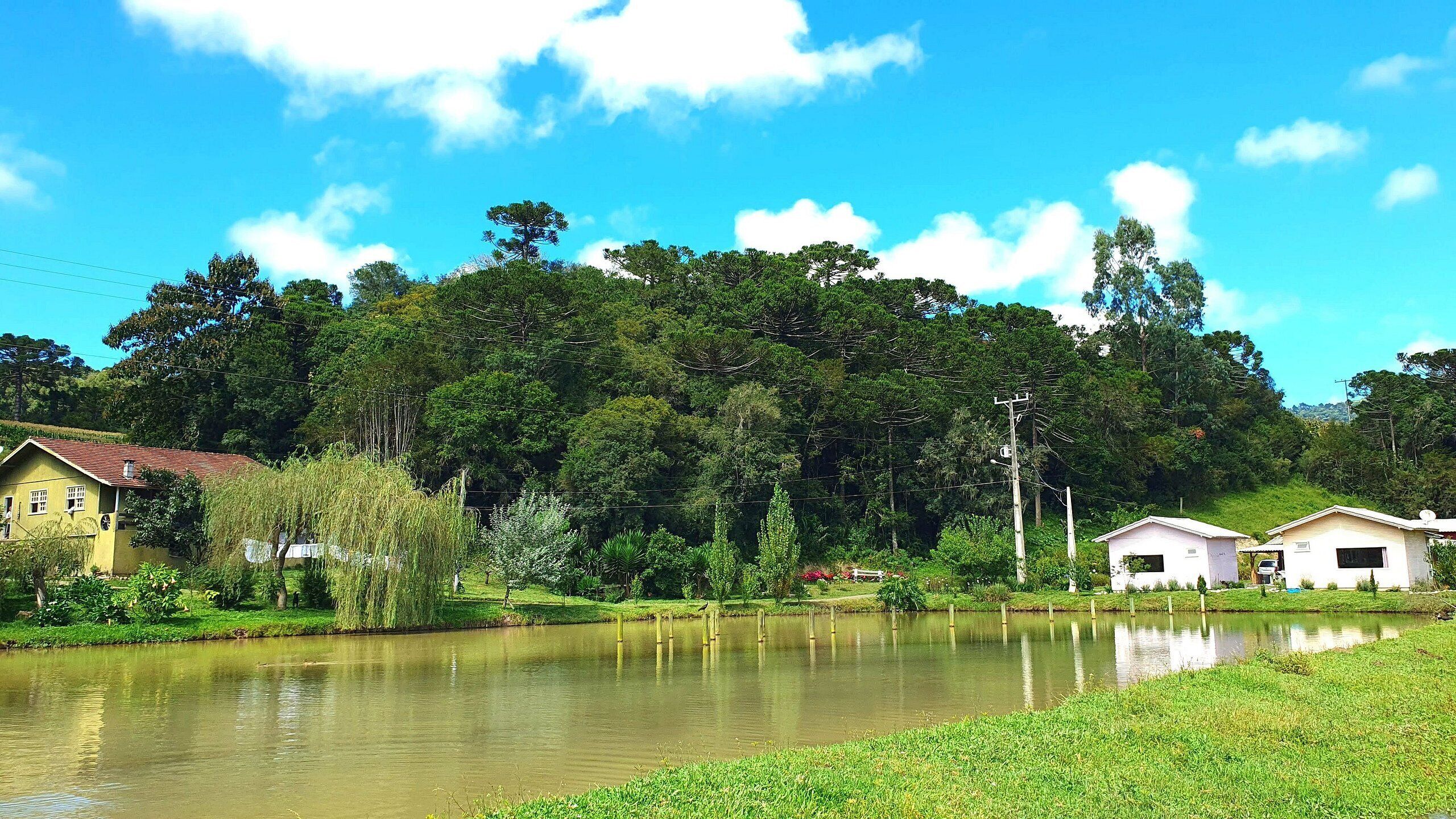 Une scène paisible au bord d’un lac, avec une petite maison et une plus grande maison jaune, le tout entouré d’une végétation luxuriante et d’arbres.