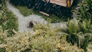 Gambar tidak terklasifikasi, 2 dari 46, tombol
