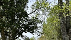 A concrete pathway leading to a metal structure in a park with trees and a house in the background.