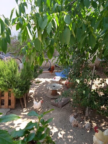 "The Little House on the Farm"