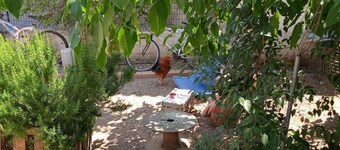 "The Little House on the Farm"