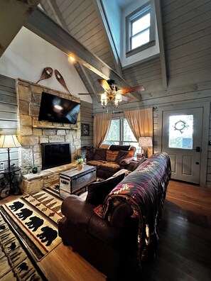 Smart TV, chimenea, reproductor de DVD, libros