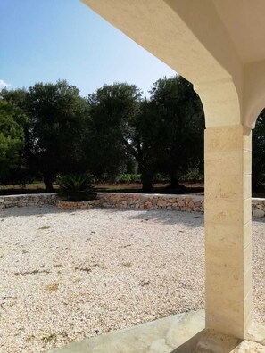 المنطقة المحيطة بالمنشأة