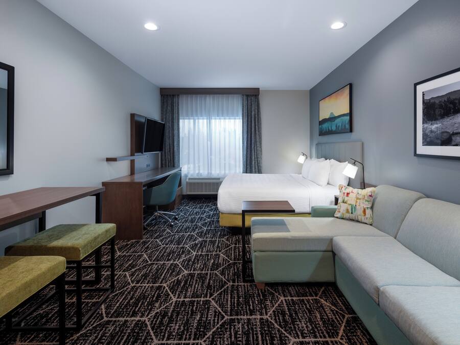 A hotel room with a bed, a desk, a TV, a couch, and a carpeted floor.