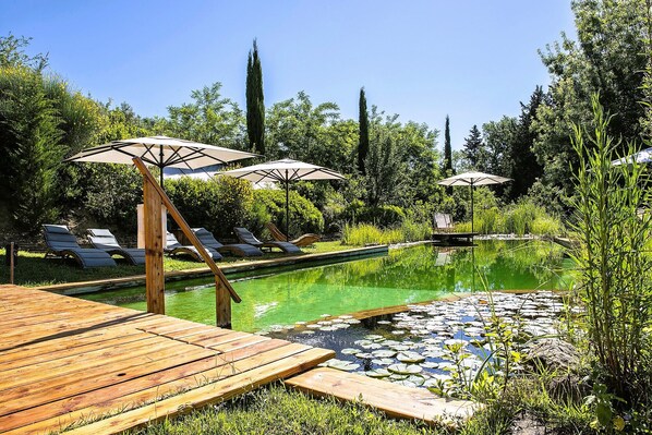 Pool - Luxury, Sustainability and Eco Pool in Forno Apt. (Certaldo)