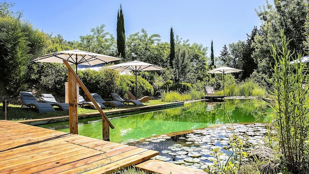 A serene outdoor pool area with lounge chairs and umbrellas, surrounded by lush greenery and a wooden deck. - Luxury, Sustainability and Eco Pool in Frangi Apt. (Certaldo)
