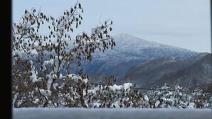 Un paysage enneigé avec des montagnes en arrière-plan.