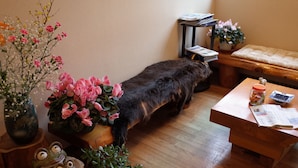 A room with a wooden bench, a small table with a newspaper, and a vase with flowers.