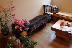 Interior - Sakamaki Onsen Kawatsuya (Tsunan)