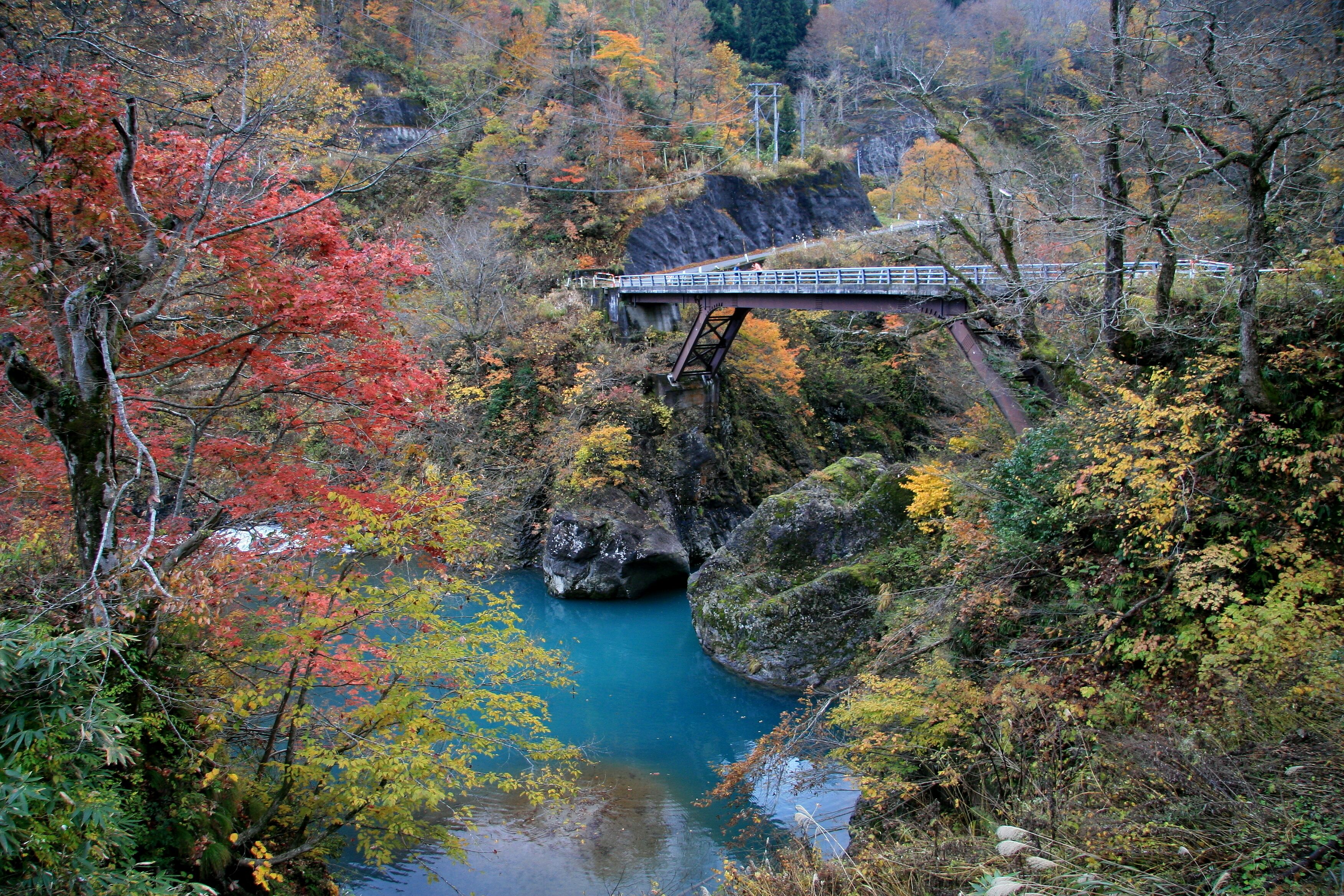 A bridge over a river surrounded by autumn foliage.