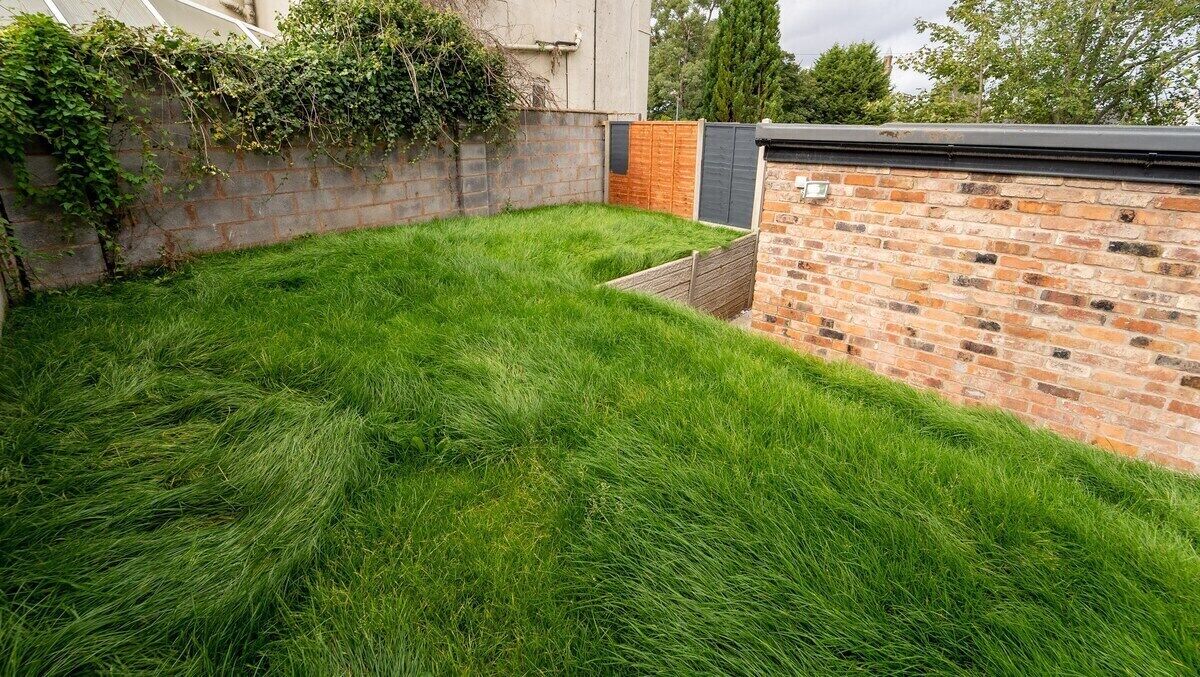 Jardin arrière