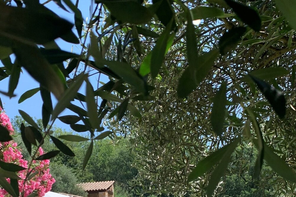 Splendid villa of 390 m² - Swimming pool - Boules pitch