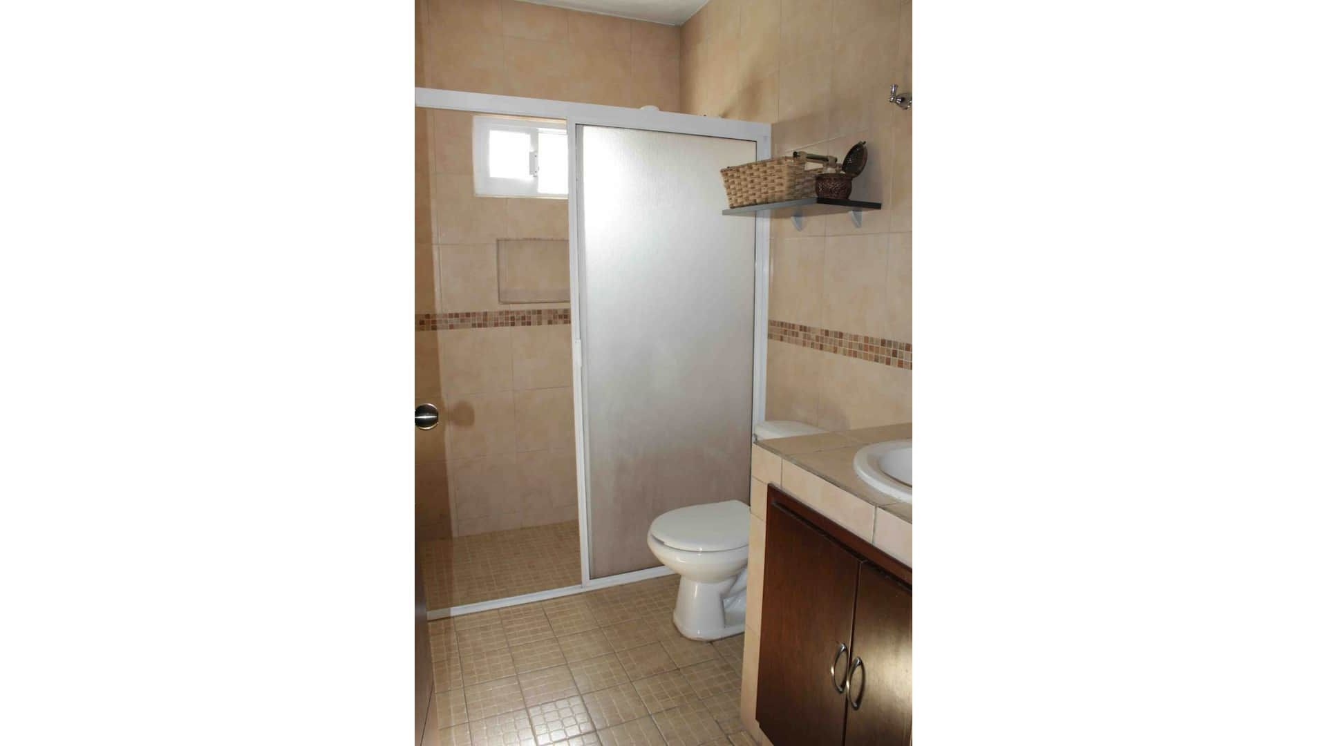 The Paradise of Flowers///