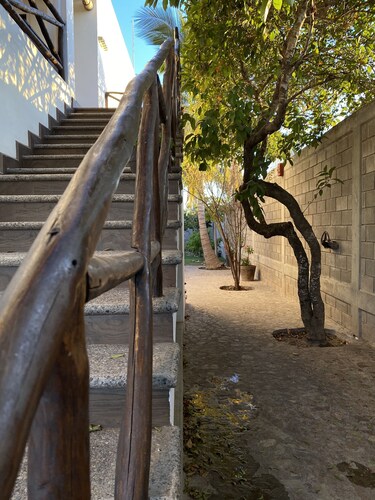 The Paradise of Flowers///