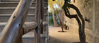 The Paradise of Flowers///