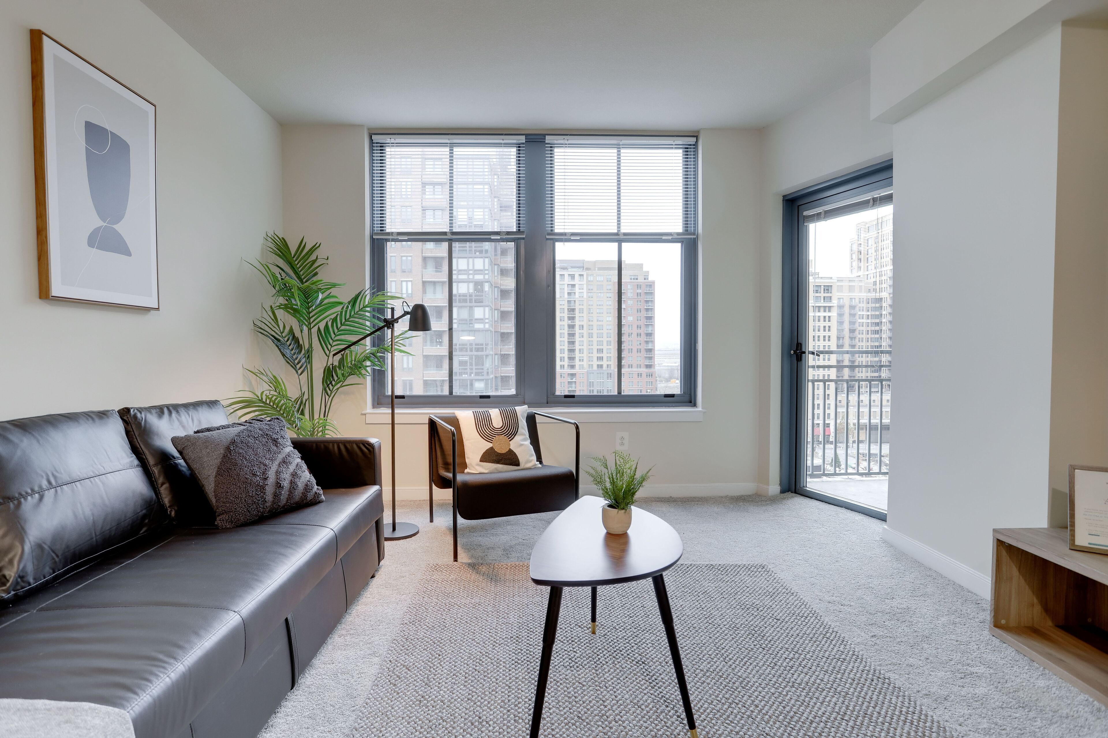 Fantastic Condo at Pentagon City