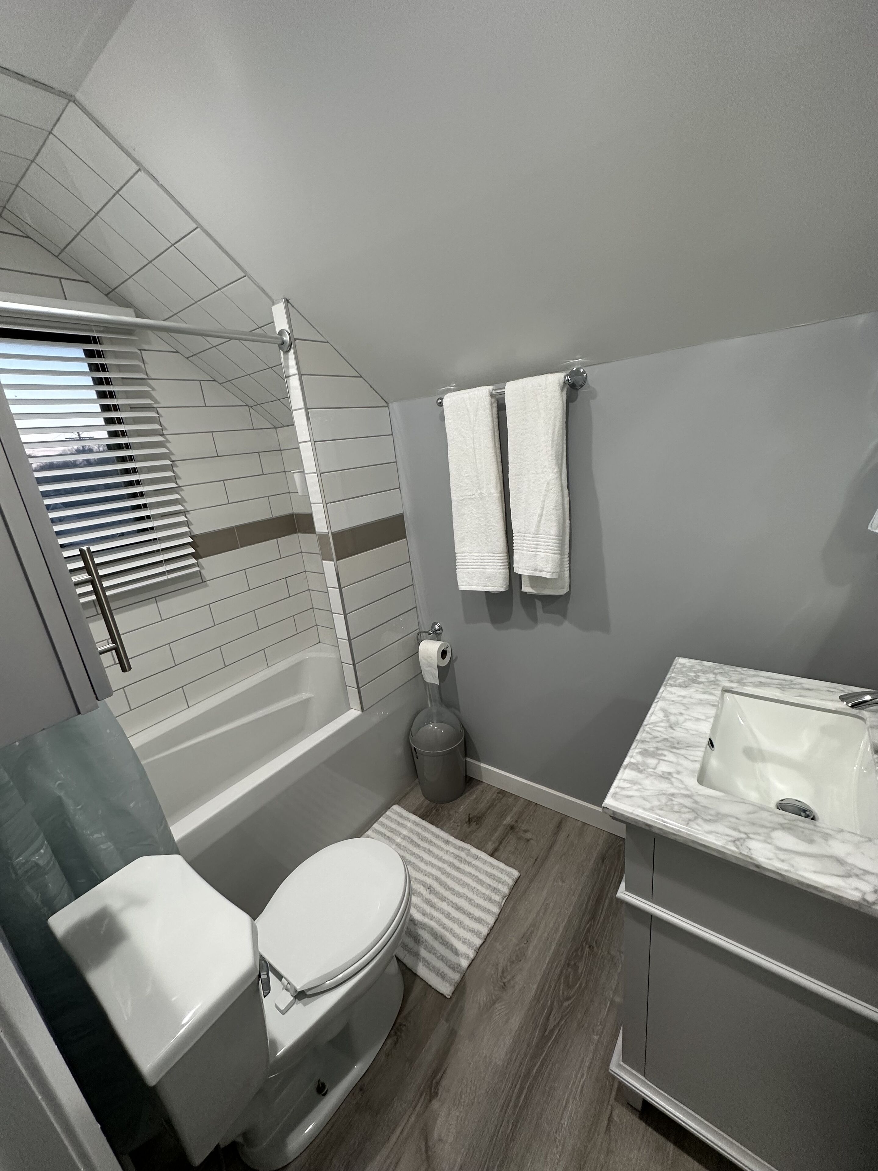Hair dryer, towels, soap, shampoo