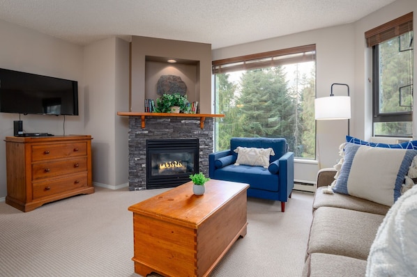TV, fireplace