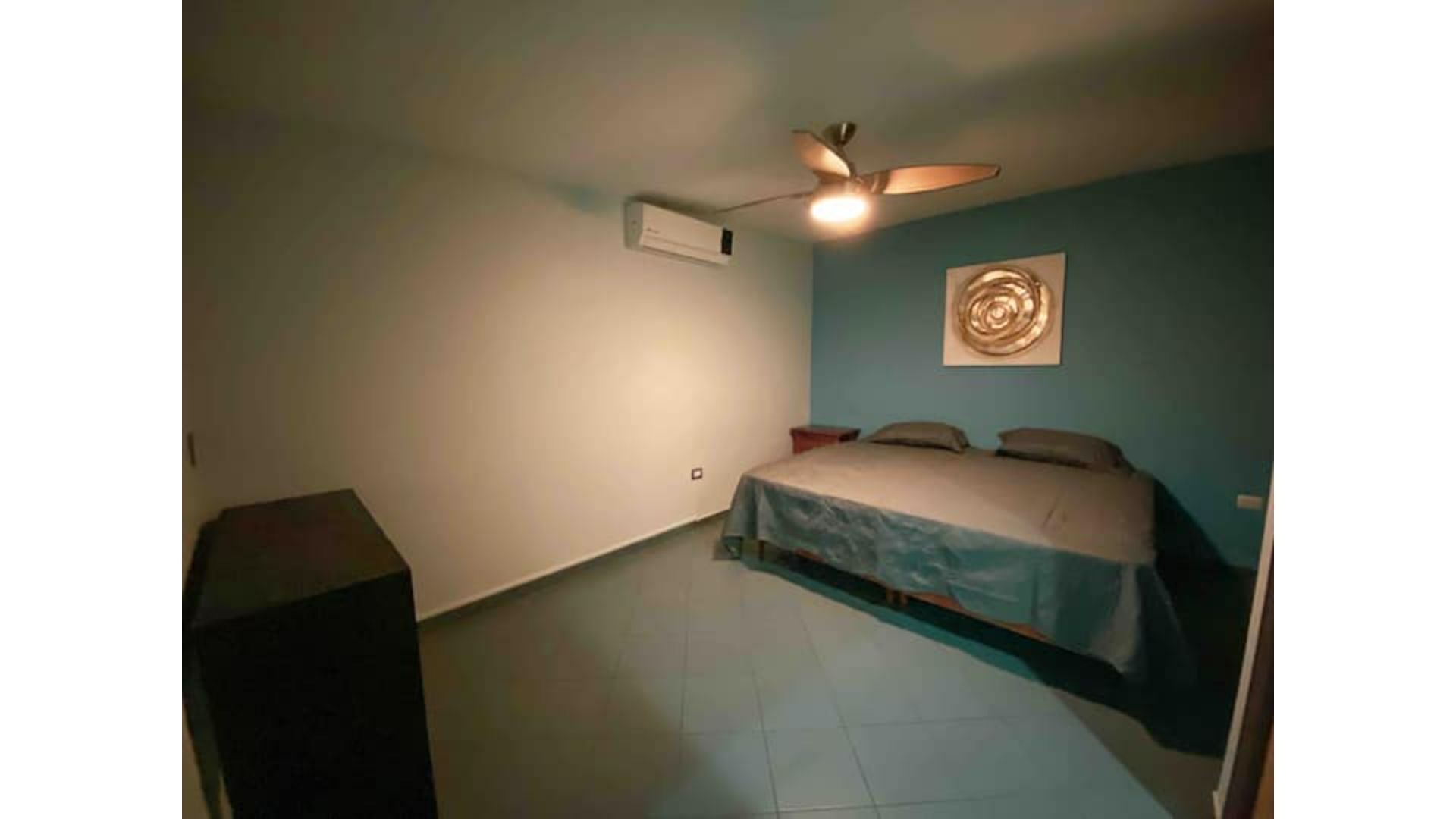 The King's Comfort Flowers