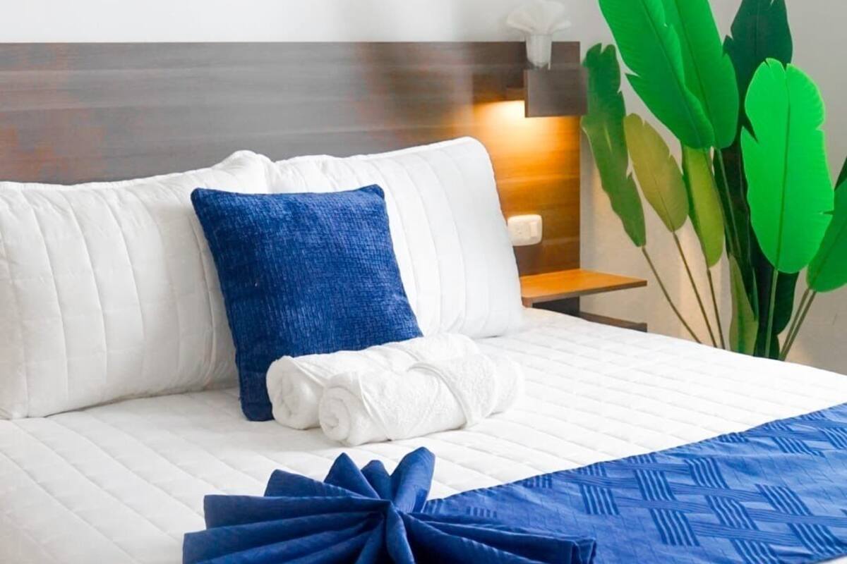 A neatly made bed with white and blue bedding, a wooden headboard, and a green plant beside the bed.