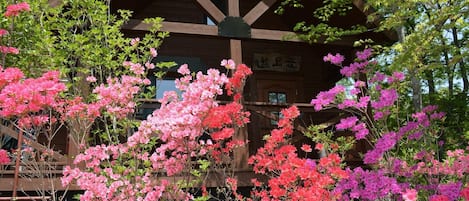 外部細節