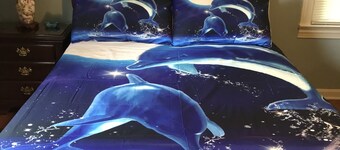 KEMP’S BL’ONE 20 minutes to University of Ala 