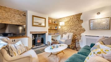 电视、壁炉、Netflix、流媒体服务