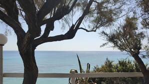 A coastal view with a white fence, trees, and dry vegetation.