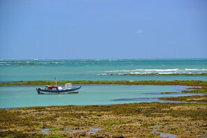 Beach - Chocolate with Pepper Building (João Pessoa)