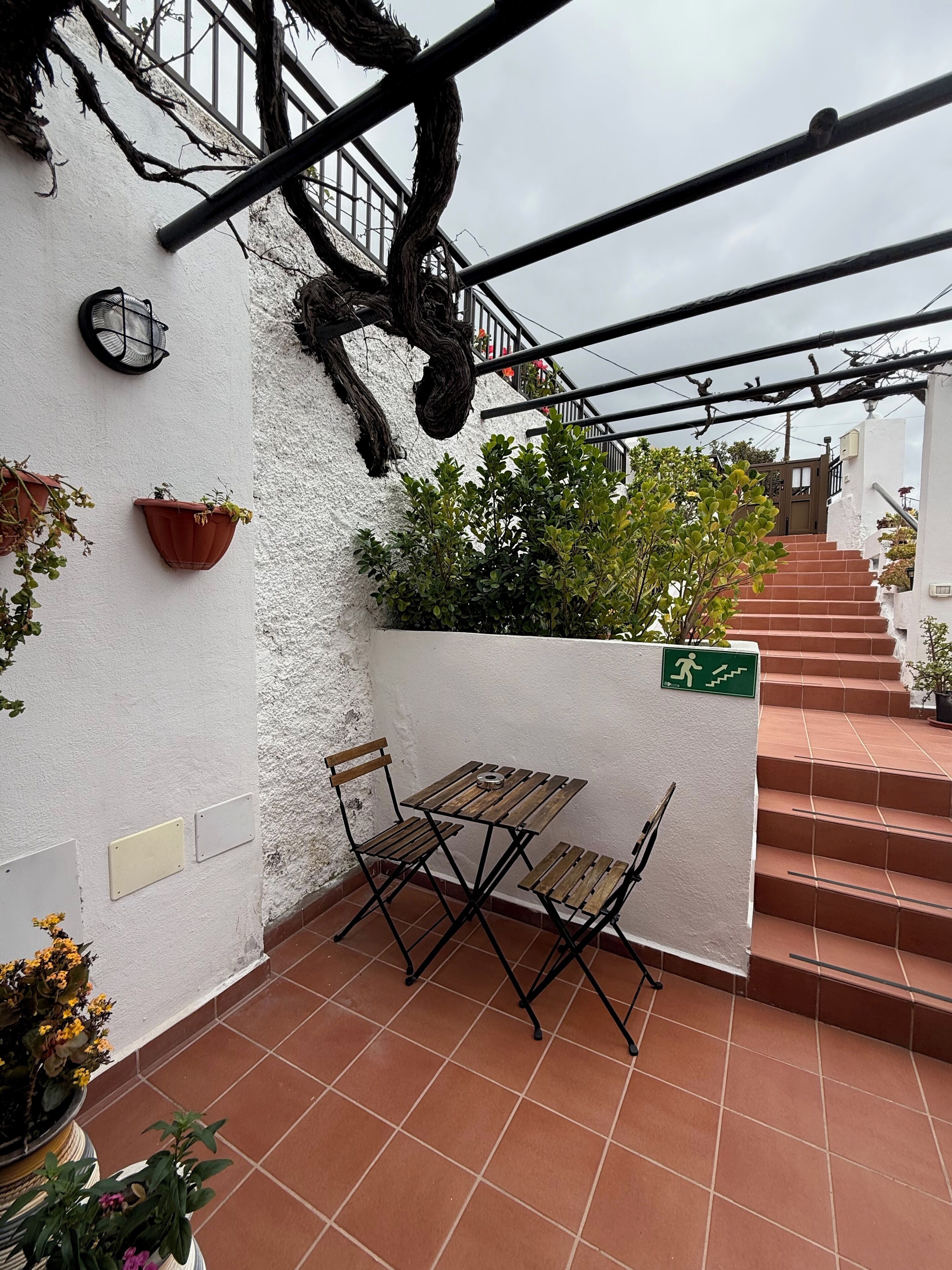A corner patio with a wooden table and chairs, potted plants, and a staircase leading up.