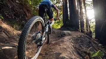 A mountain biker on a dirt trail surrounded by trees.