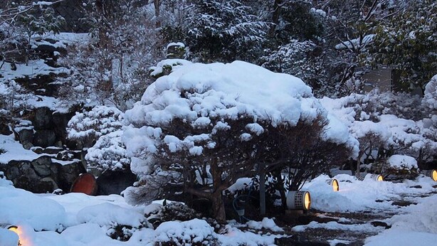 Un jardín cubierto de nieve con un sendero de piedra, árboles y luces iluminadas.
