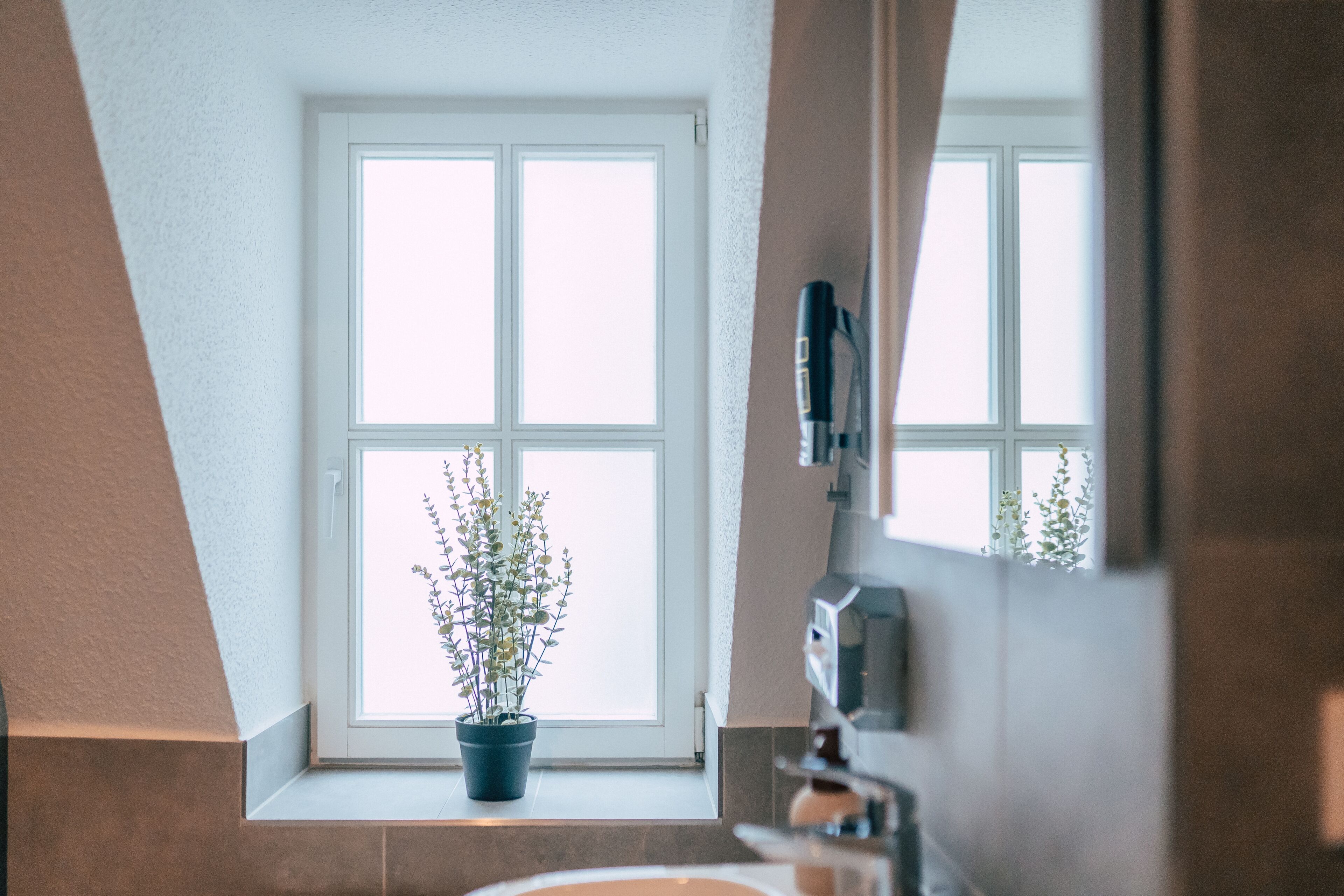 Vista des de l'allotjament