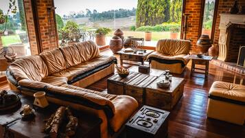 TV, fireplace, books, stereo