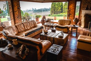 Télévision, cheminée, livres, chaßne hi-fi