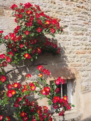 Detall de l'exterior