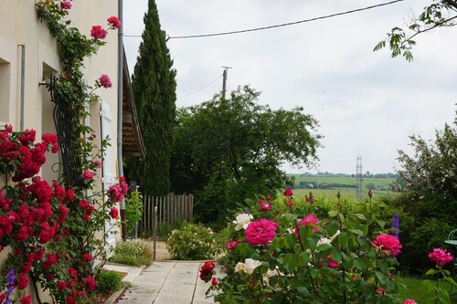 Le Chat Perché - LA CHAPELLE DE GUINCHAY