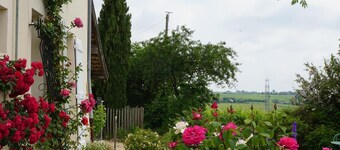 Le Chat Perché - LA CHAPELLE DE GUINCHAY