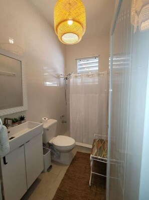 Shower, hair dryer, bidet, towels