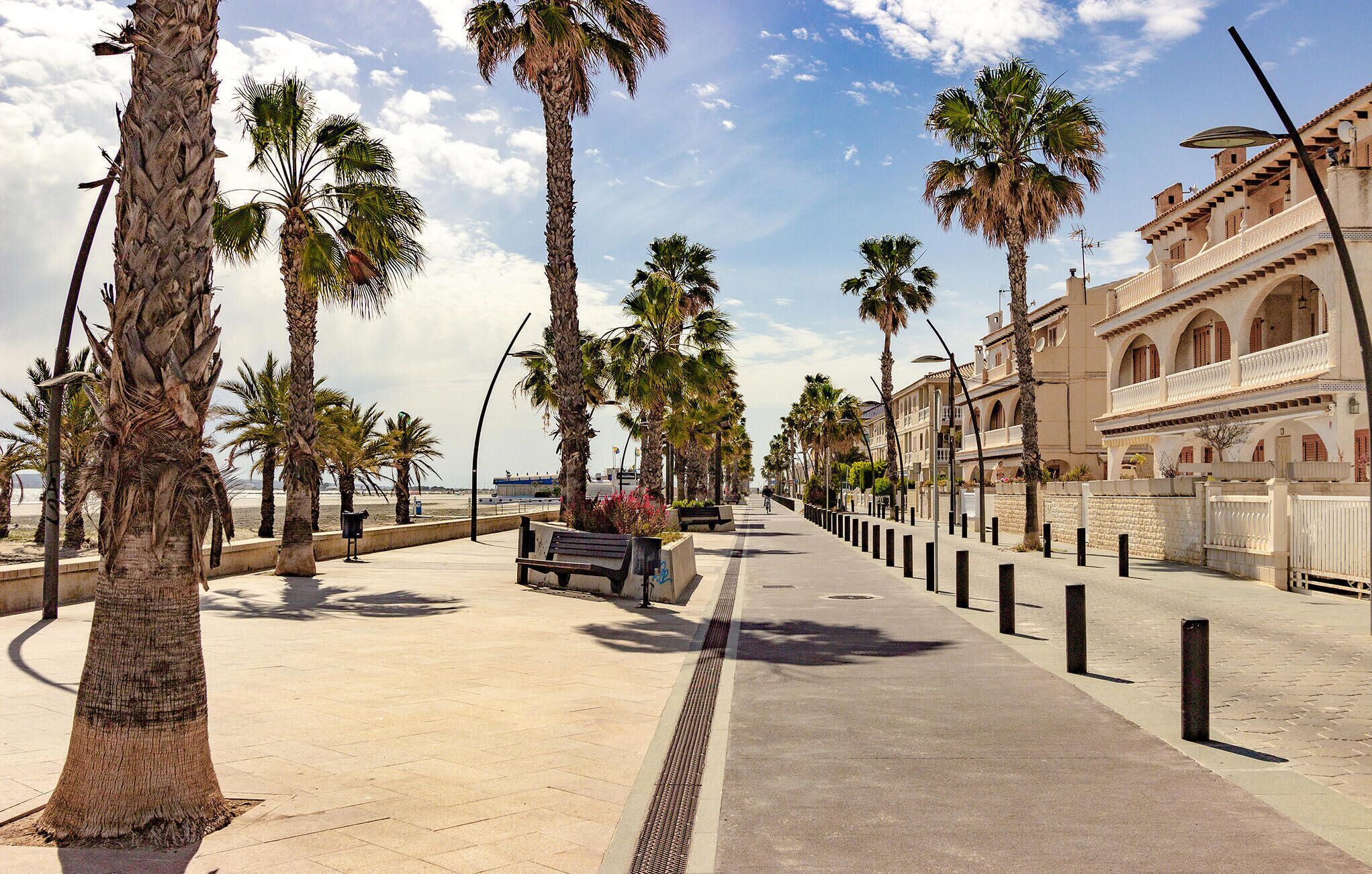 Une promenade en bord de mer bordée de palmiers et un bâtiment doté de fenêtres en arc de cercle.