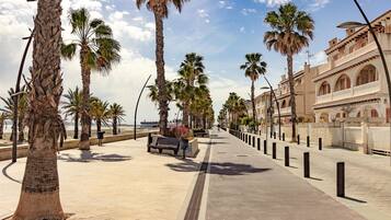 Une promenade en bord de mer bordée de palmiers et un bâtiment doté de fenêtres en arc de cercle.