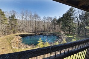 A pond surrounded by trees, viewed from a wooden deck.