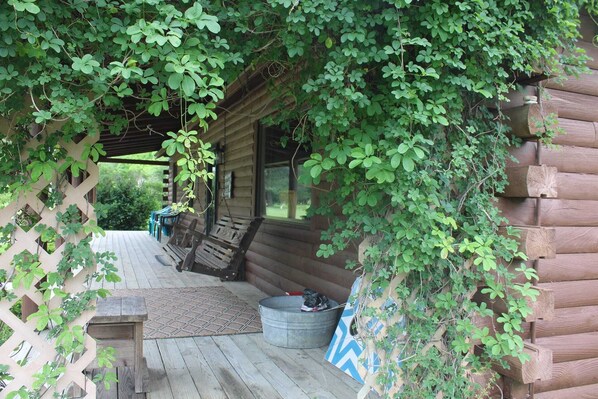 A wooden cabin with a covered porch, a metal bucket, and a bench.
