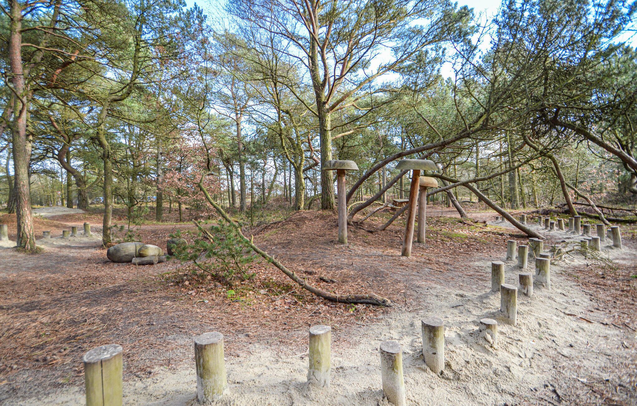 A forested area with a dirt path, wooden posts, and a fallen tree.