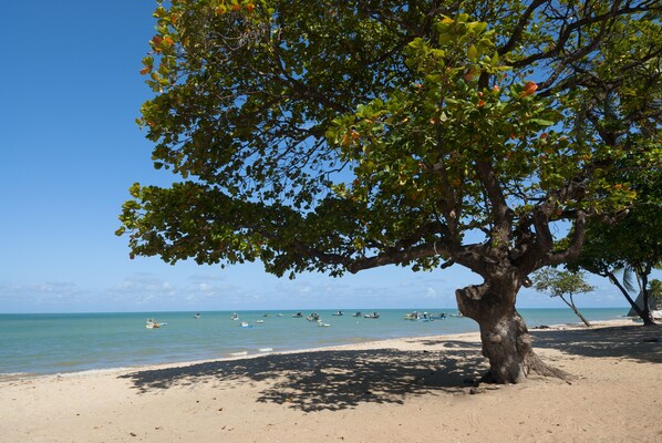 Praia