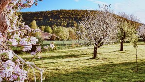Ländliche Landschaft mit blühenden Bäumen und einem Haus im Hintergrund.