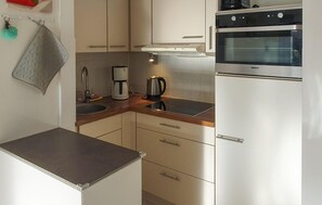 Fridge, oven, stovetop, coffee/tea maker