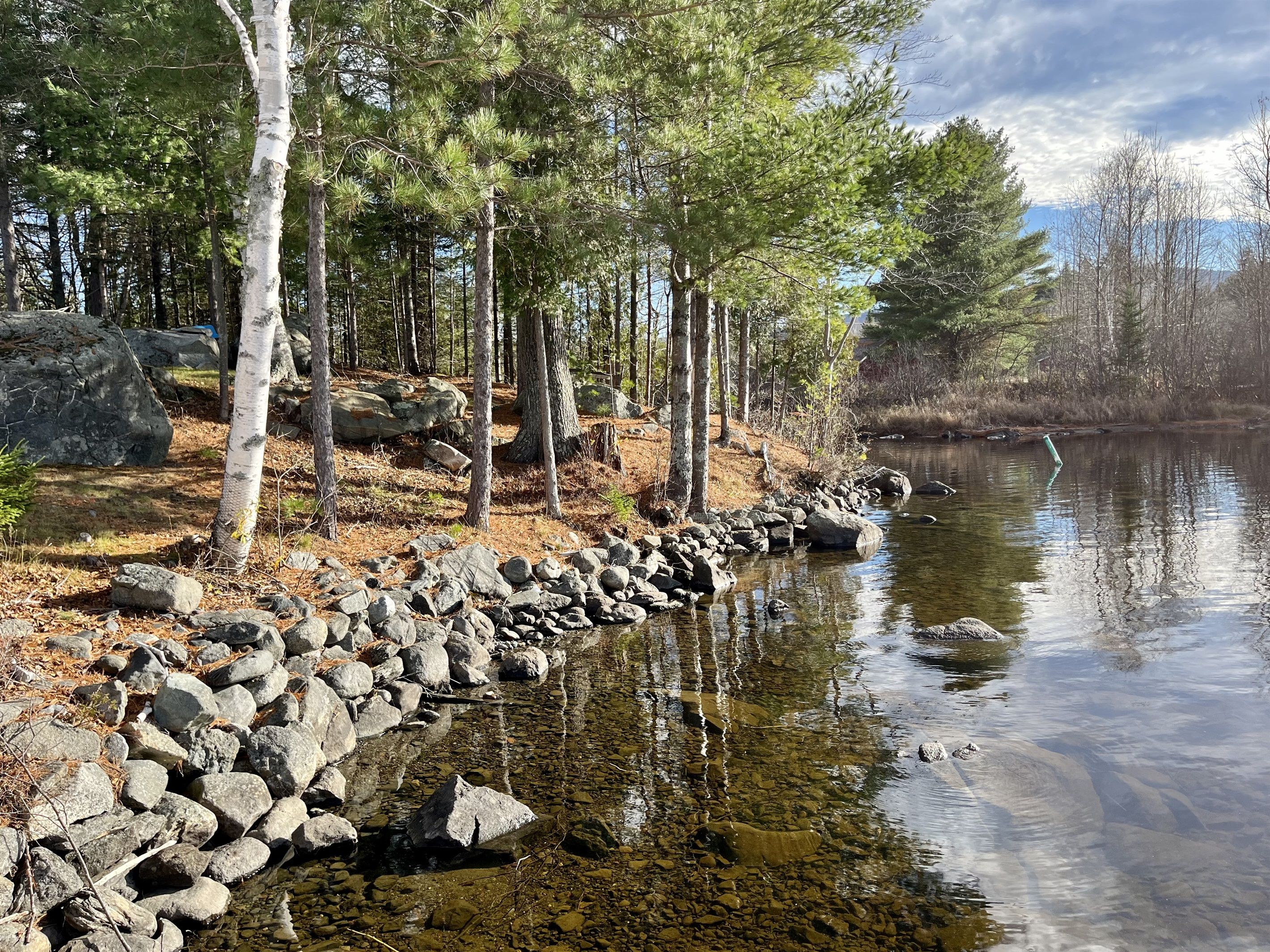 A serene lakeside scene with a rocky shoreline, trees, and a clear view of the water.