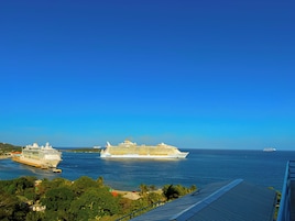 Un gran crucero amarrado en un puerto, con cielos despejados y vegetación exuberante al frente.